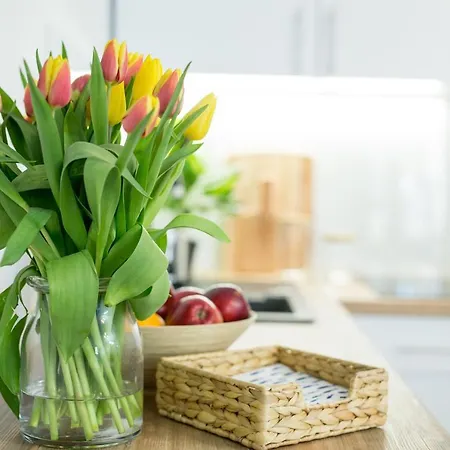 19b Blue Marine Basen Brodziki Plac Zabaw The Of Przy Plaz * Poddąbie