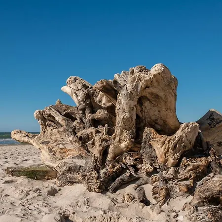 Appartement 19b Blue Marine Basen Brodziki Plac Zabaw The Of Przy Plaz Poddąbie