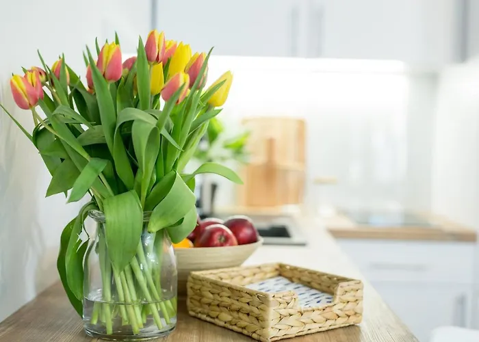 19b Blue Marine Basen Brodziki Plac Zabaw The Of Przy Plaz * Poddąbie