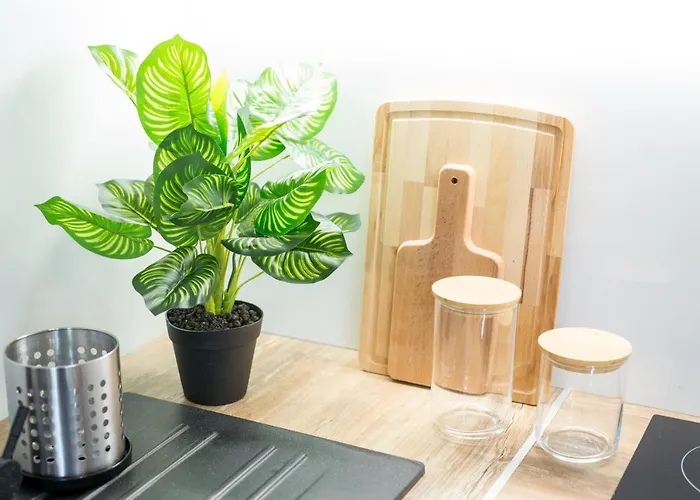 19b Blue Marine Basen Brodziki Plac Zabaw The Of Przy Plaz Daire