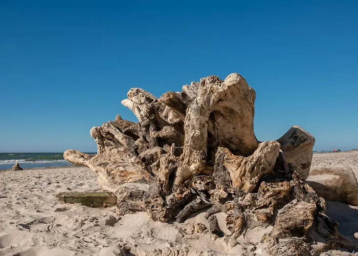 Daire 19b Blue Marine Basen Brodziki Plac Zabaw The Of Przy Plaz Poddąbie